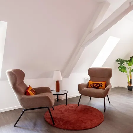 Apartahotel Travel Homes - Republic, Charm In The Heart Of Colmar