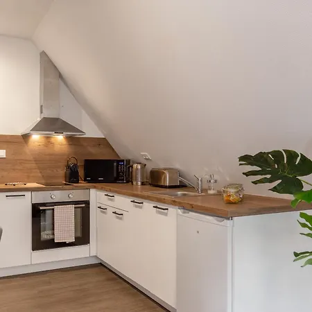 Apartmanhotel Travel Homes - Republic, Charm In The Heart Of Colmar