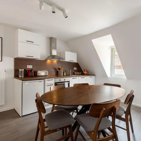 Travel Homes - Rapp, Charm In The Heart Of מלון דירות קולמר