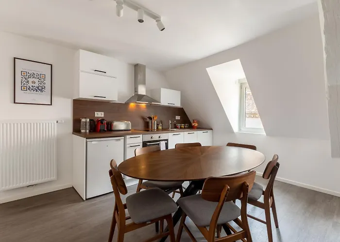 Travel Homes - Republic, Charm In The Heart Of Apartahotel Colmar