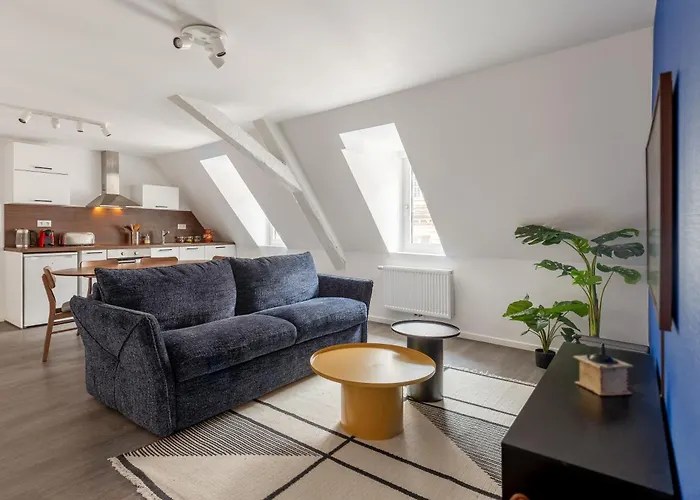 Apartahotel Travel Homes - Republic, Charm In The Heart Of Colmar